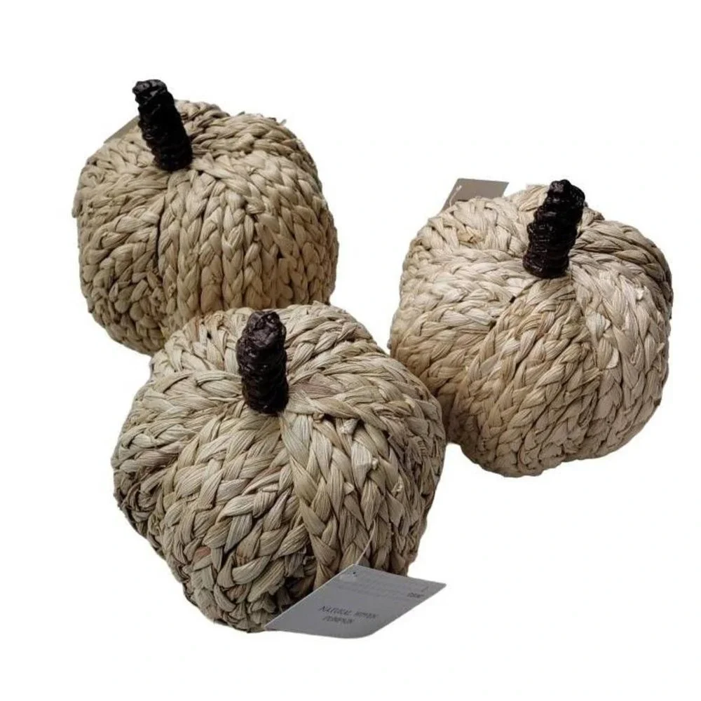 Target BP Natural Woven Pumpkin Set of 3